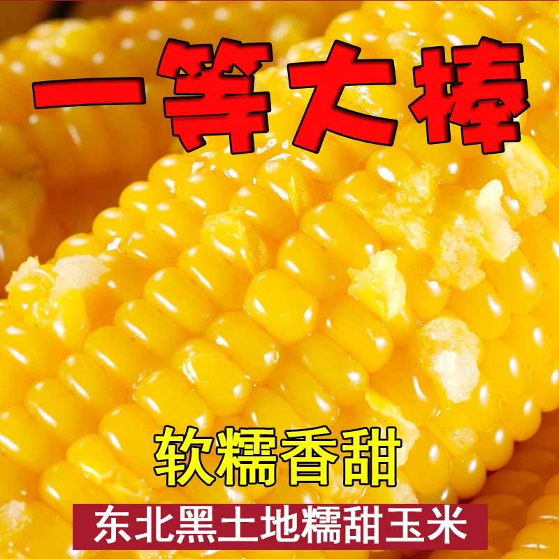 鲜味年东北糯玉米真空包装粘玉米产地直发粗粮代餐玉米棒子整箱 黄糯