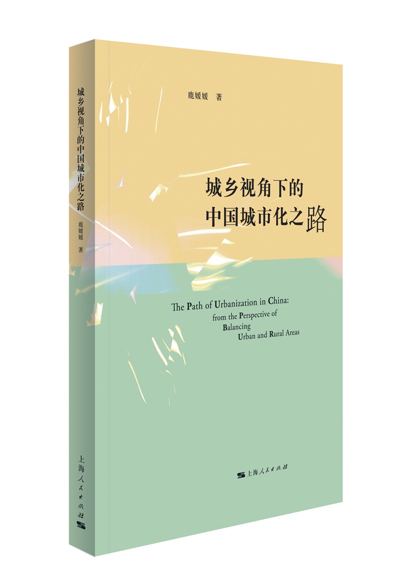城乡视角下的中国城市化之路