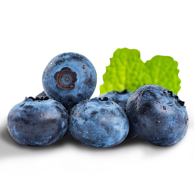 上喜 当季有机蓝莓 特级超大果 整箱8盒装 约125g/盒 新鲜水果现摘发货