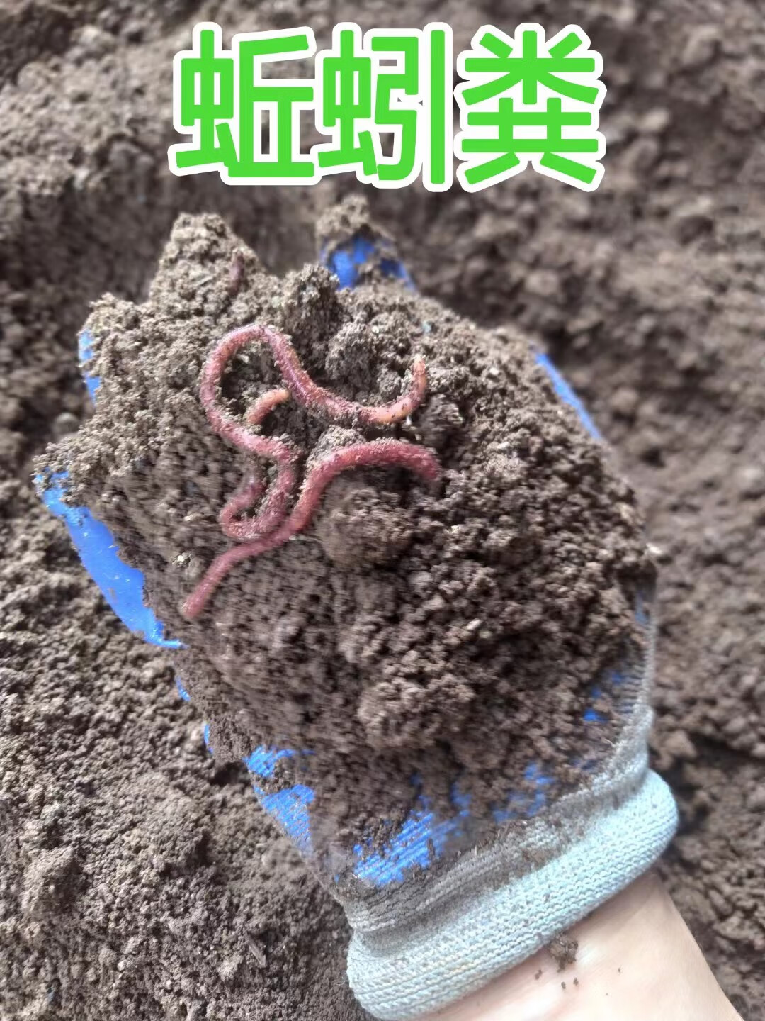 lzjv纯蚯蚓粪有机肥营养土园艺养花通用种菜种植土蚯蚯粪大包多肉泥土