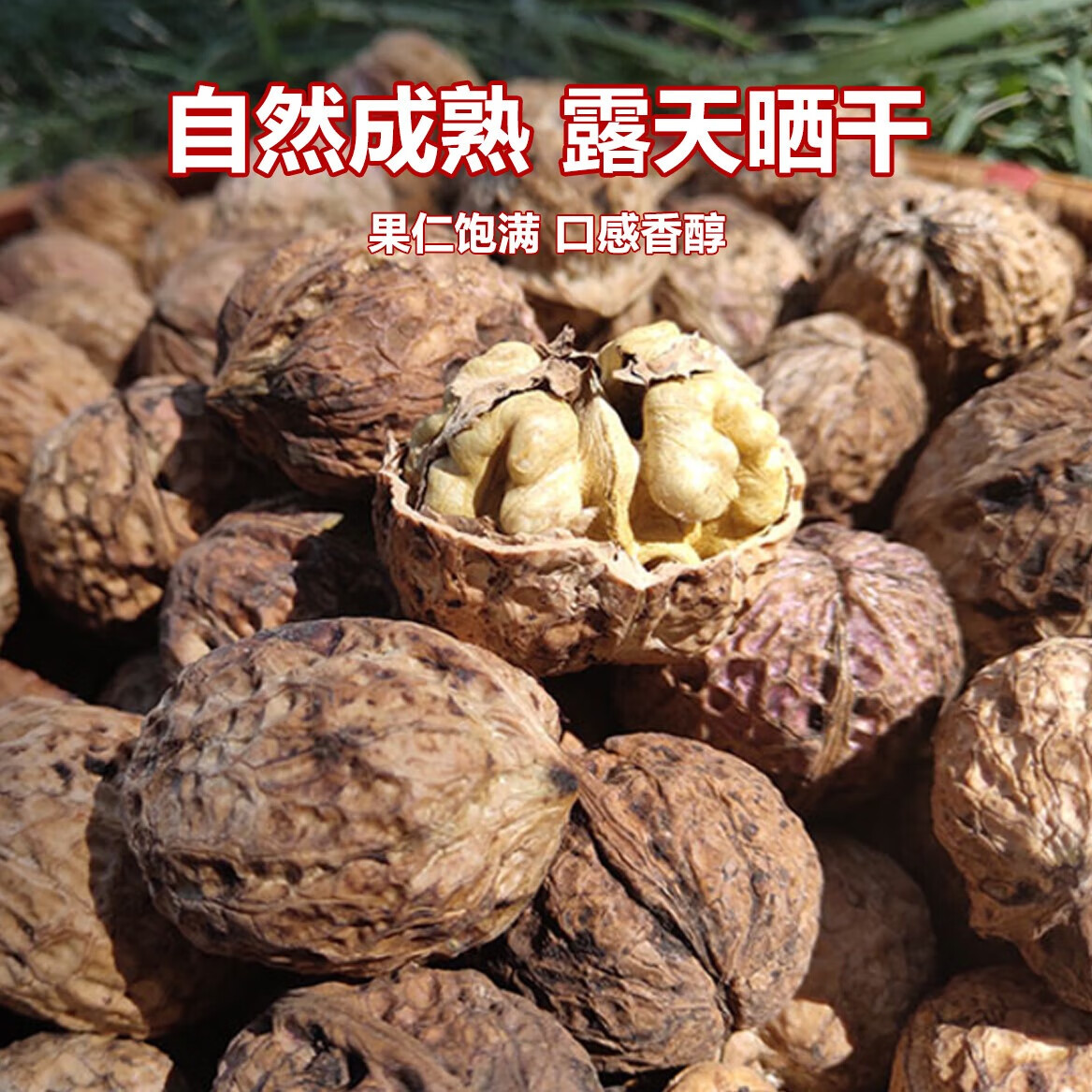 2025云南老树新货新鲜薄皮核桃原生态原味优质核桃产地直销农家 新货薄皮核桃【2斤】普通装