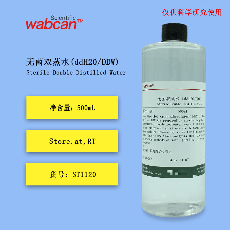 无菌双蒸水ddh2o/w水 500ml 实验专用 500ml