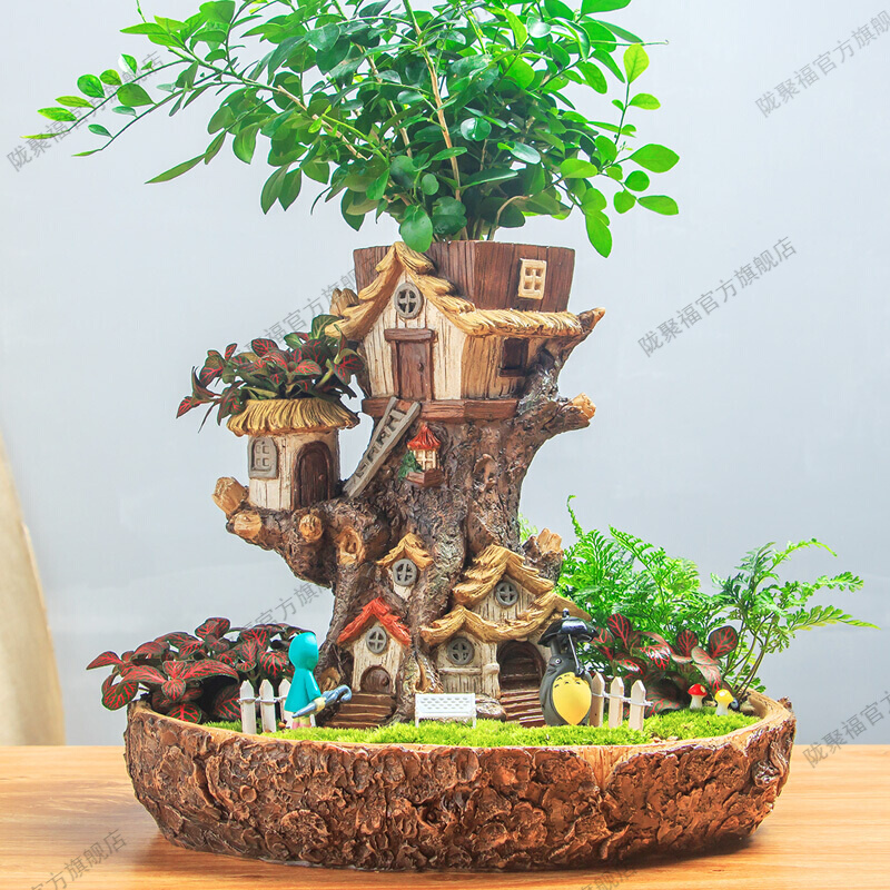 陇聚福苔藓微景观盆景diy创意盆栽摆件微生态瓶景观办公桌微观植物