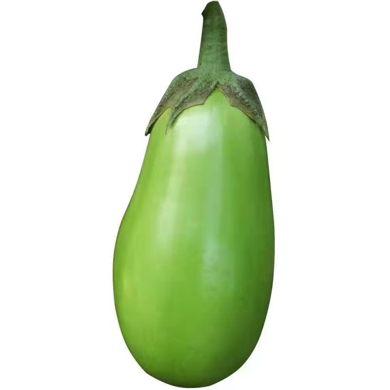 果蔬】茄子新鲜河南特产青茄子原产地现摘蔬菜1斤3斤5斤 1斤一个茄子