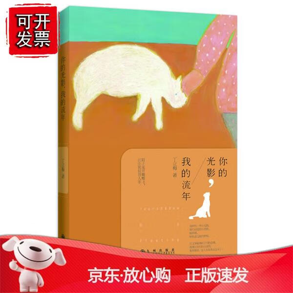 你的光影,我的流年