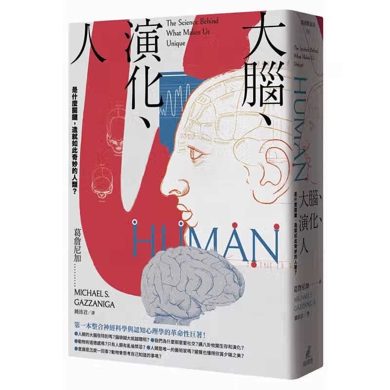 预售 葛詹尼加大脑、演化、人是什么关键 造就如此奇妙的人类？猫头鹰