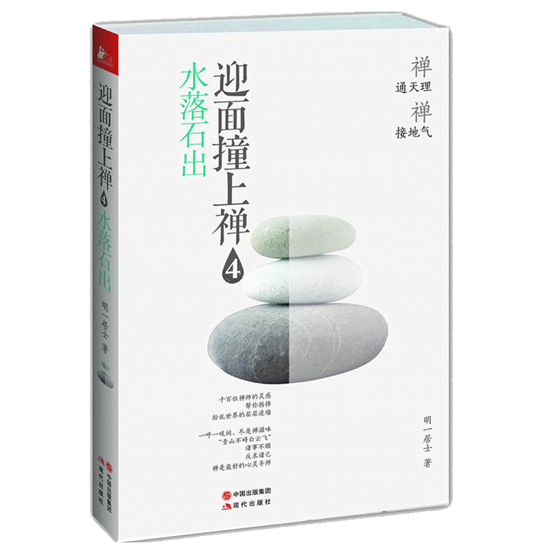 【包邮】宗教普及读物佛学禅修正念禅修禅者的初心 迎面撞上禅4：水落石出 定价35