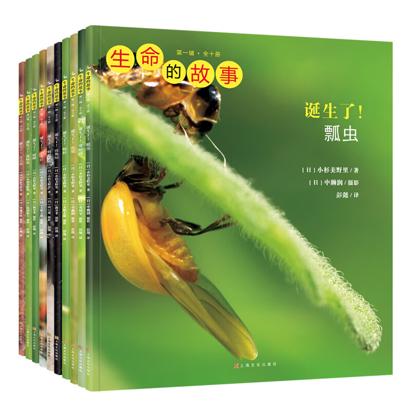生命的故事第1辑全10册3-6岁儿童科普绘本昆虫动物百科全书 用实拍