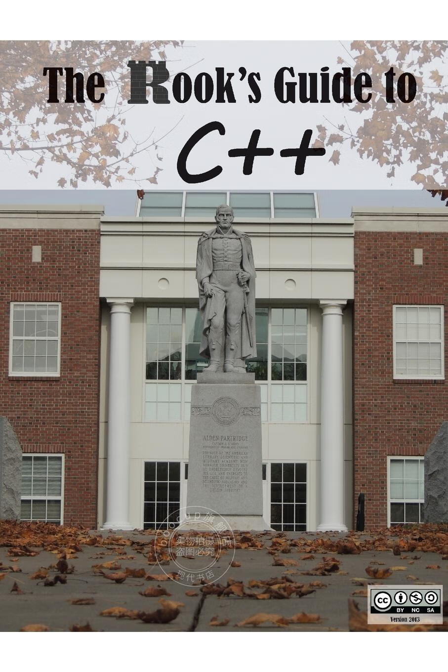 【2周达】预售 按需印刷 the rook s guide to c
