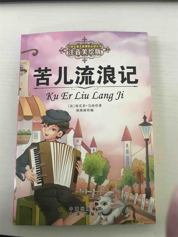 苦儿流浪记 注音美绘版