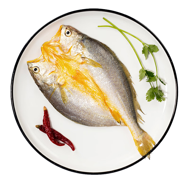 聚春園 福建霞浦大黃瓜魚 黃魚鲞免洗袋裝 方便即食 新鮮撈捕冷凍大黃魚 醇香黃魚鲞 250g /2袋