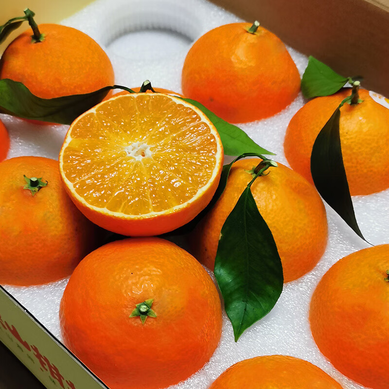 德骊嘉浙江台州红美人柑橘桔子果冻橙28号当季新鲜水果礼盒装送礼