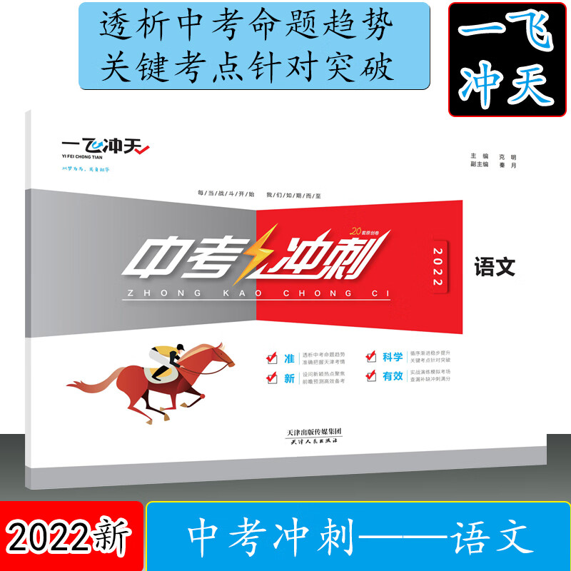 2022年春新版 天津一飞冲天中考冲刺语文 初三九年级下学期期中期末