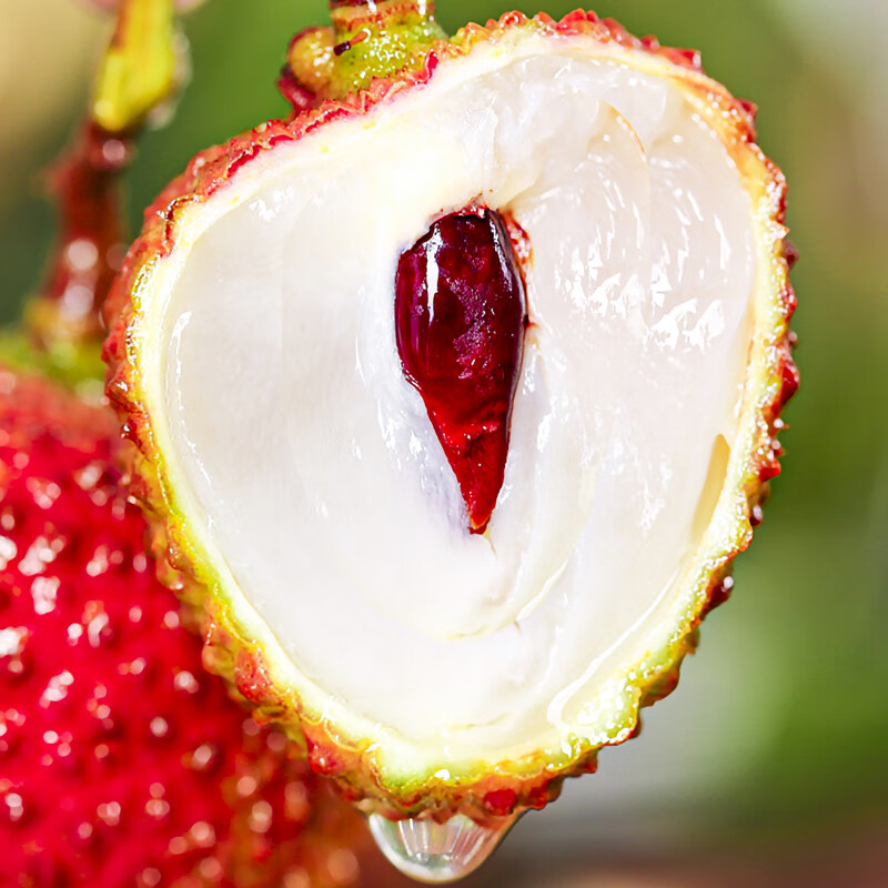 土八鲜海南妃子笑荔枝水果 2024新鲜花香桂现摘火山口白罂糖荔枝 超值装 5斤 【精选品质】 果园直发