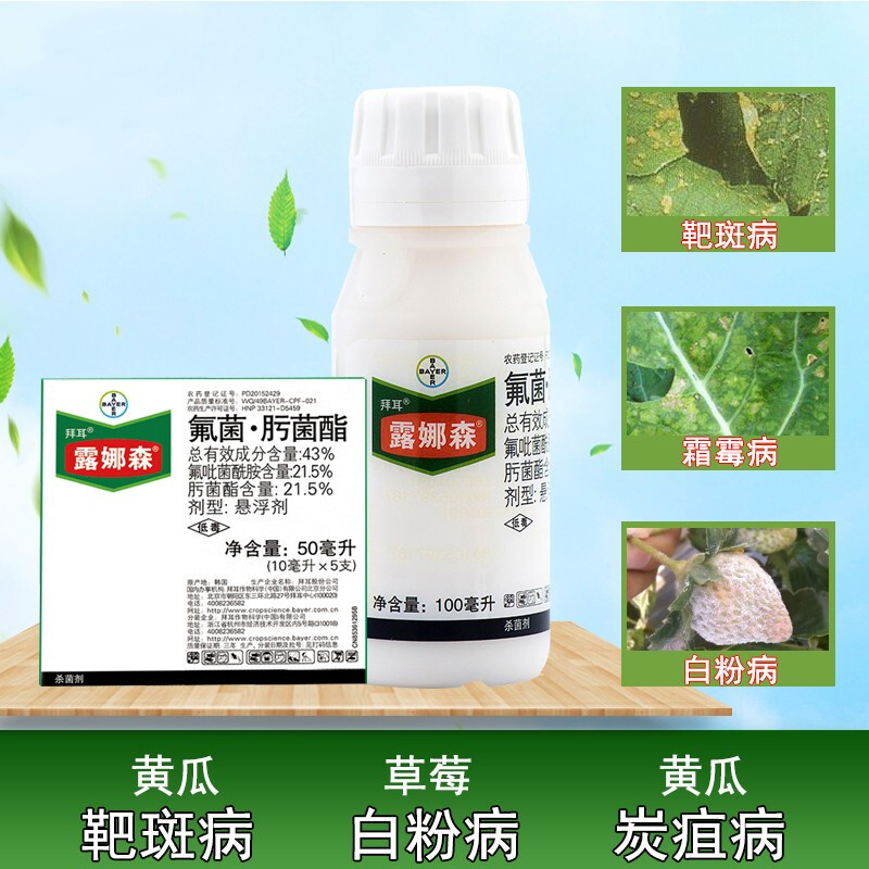 德国拜耳露娜森 43%氟菌肟菌酯水果蔬菜花卉白病粉病靶斑病剂 100ml*1