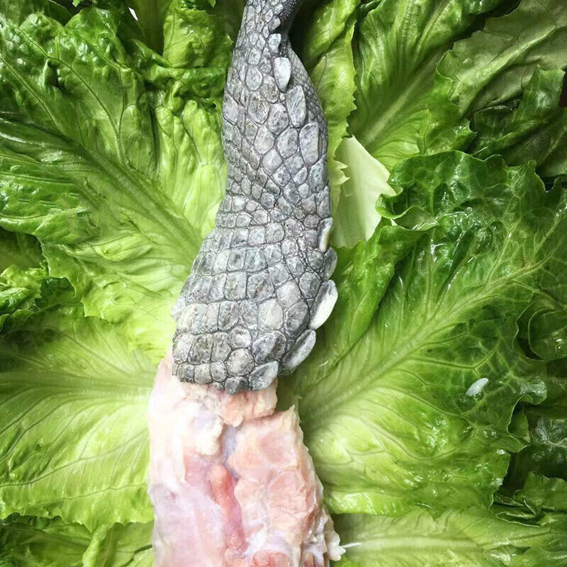 伯贤 新鲜鳄鱼腿半皮肉现杀鳄鱼人工养殖鳄鱼新鲜肉类 2斤装半皮腿肉