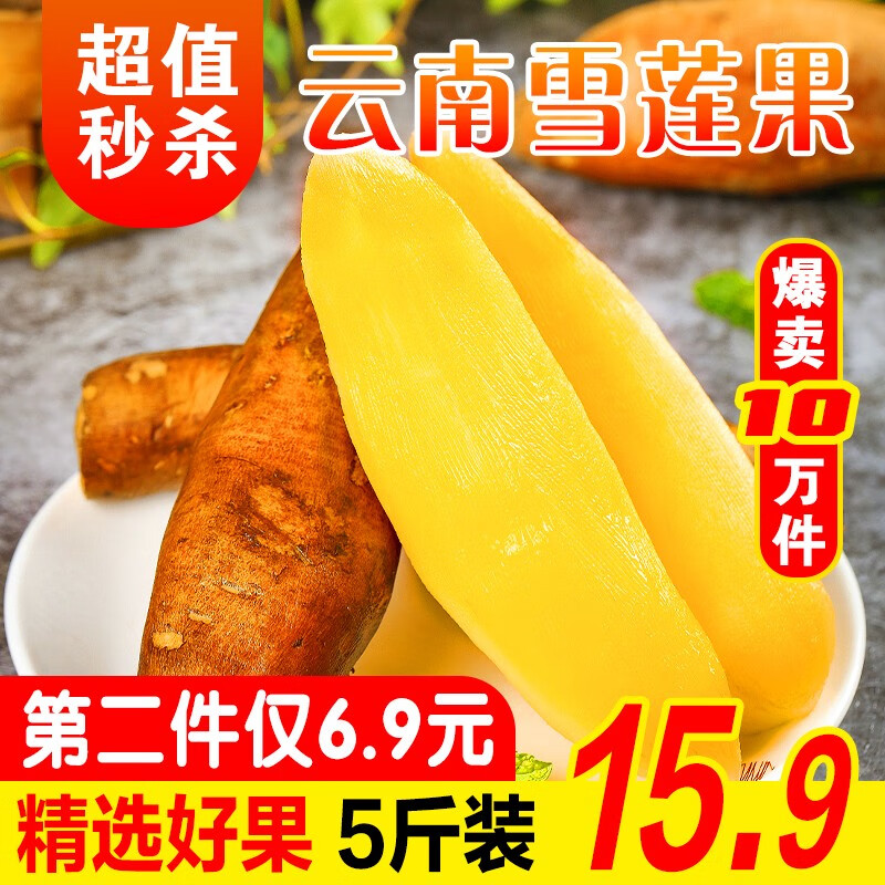 云南天山雪莲果 高原新鲜水果应季红沙泥黄心雪连果 5斤