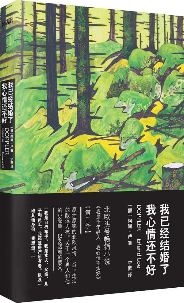 我已经结婚了,我心情还不好(北欧头号小说《我是个年轻人,我心情不太