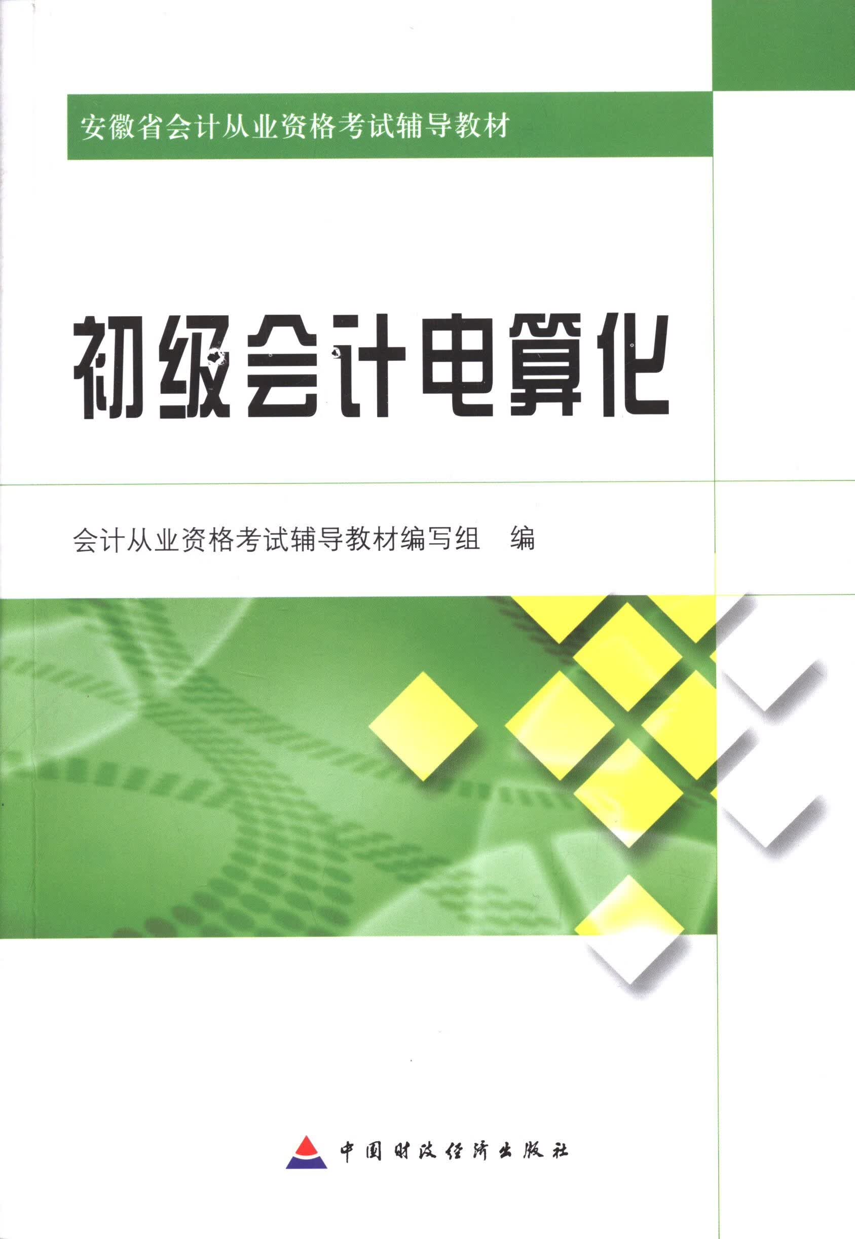 初级会计电算化 【正版书籍】