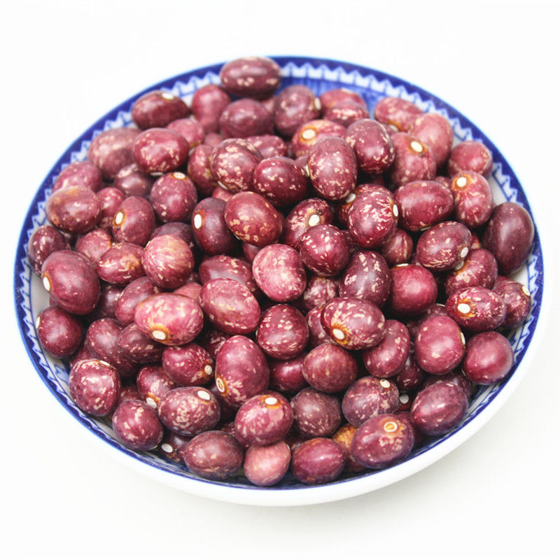 寒宁云南金丝豆农家自产红花豆孔雀豆芙蓉豆雀蛋豆芸豆红饭豆 金丝豆1