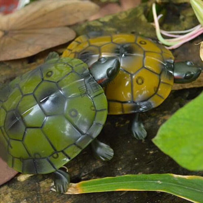 仿真遥控乌龟儿童海龟玩具模型整人智能遥控动物玩具男孩新奇礼的