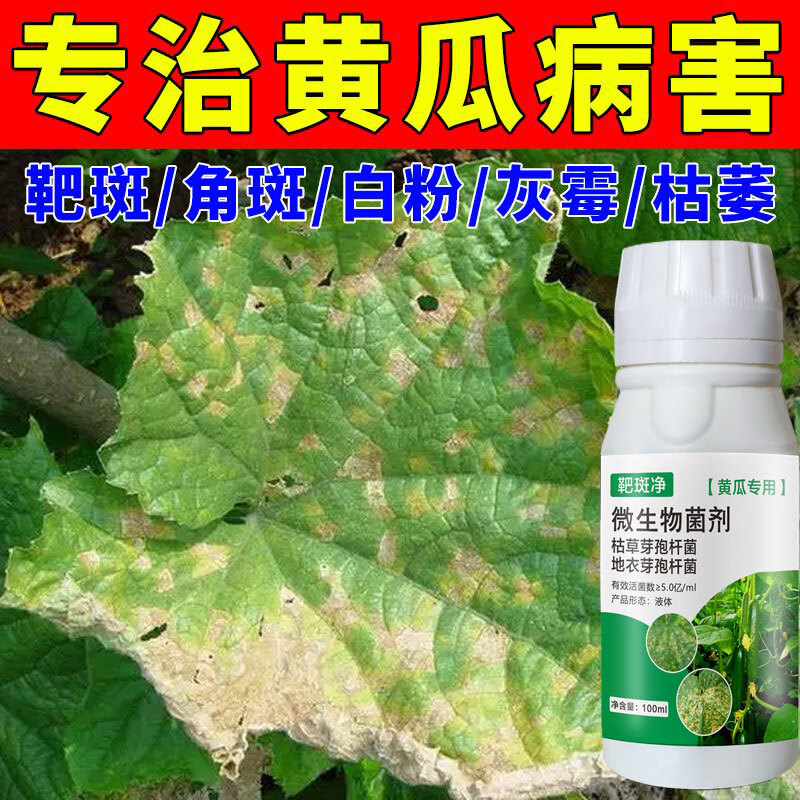 豫掌门黄瓜病害专用药黄点病靶斑病灰霉病霜霉病黄萎病褐斑病专用药
