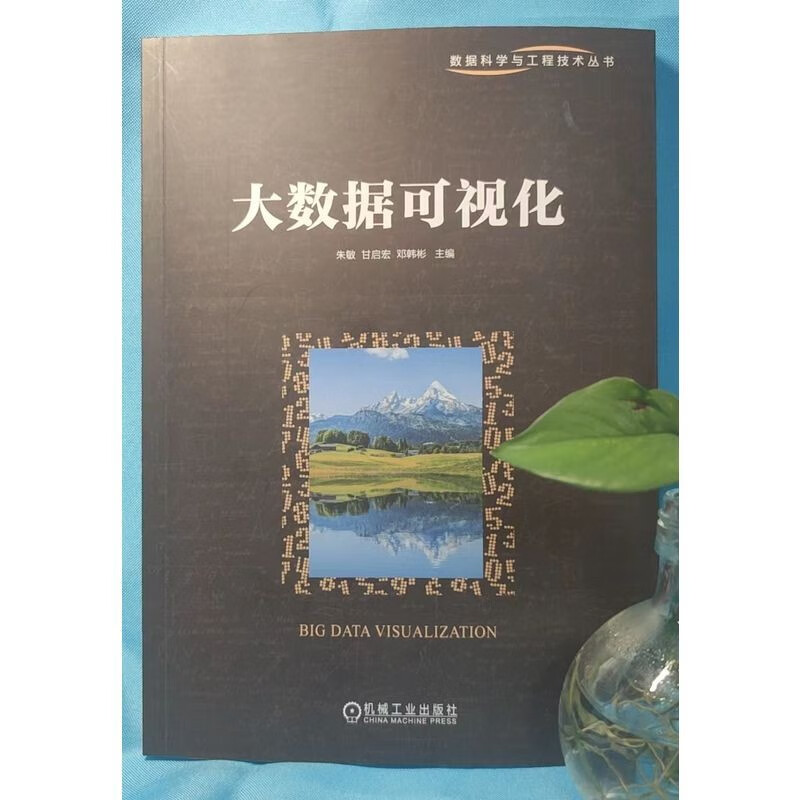 大数据可视化详情图