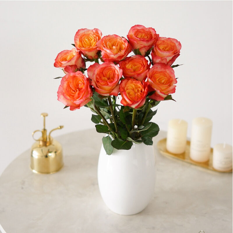 花情万种鲜花玫瑰花束鲜切花水养家用插花艺每周一花全国速递金辉玫瑰