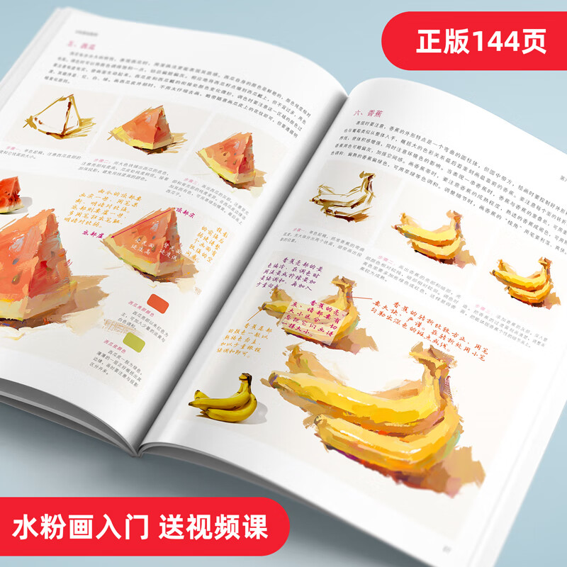 水粉画临摹范本教程书色彩静物单体个儿童教材国美画画入门自学零基础