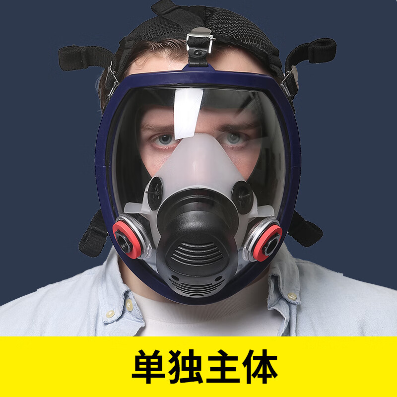 防尘防毒面具全面罩喷漆打农药防护过滤式放毒氧气防雾面罩头戴式