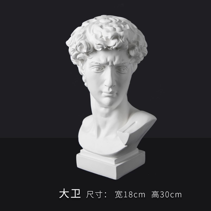 唐帆 小石膏头像30cm大卫石膏像小号画室素描绘画班常用雕塑装饰品