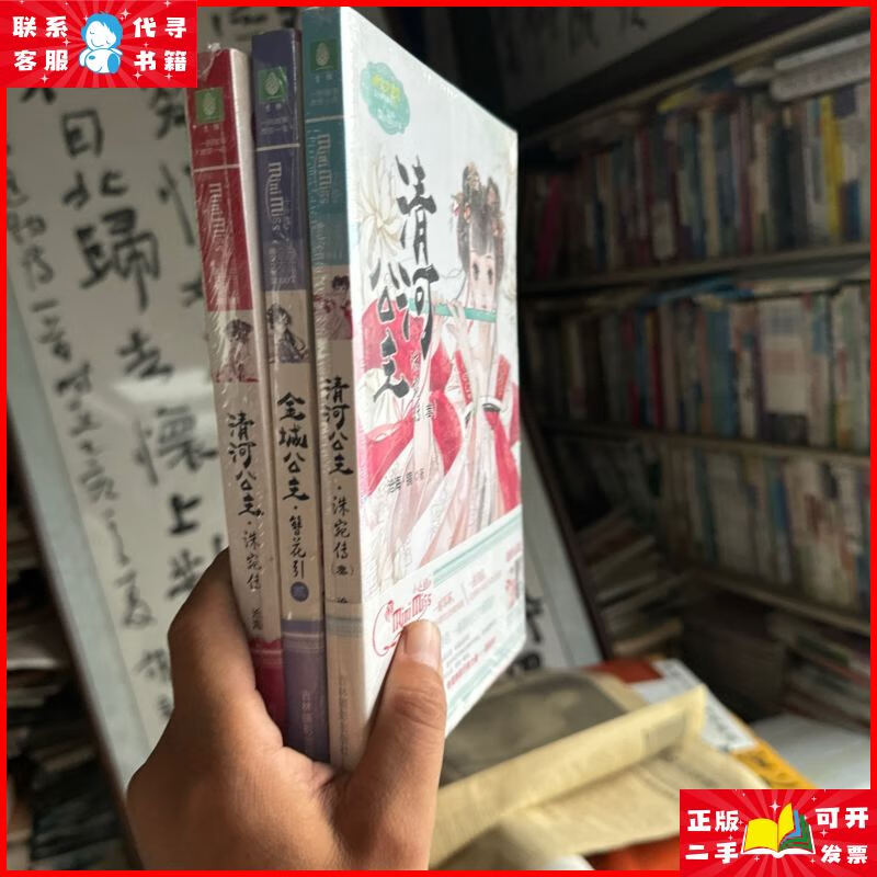 清河公主 洙宛传1 2 3 吉林摄影出版社二手书