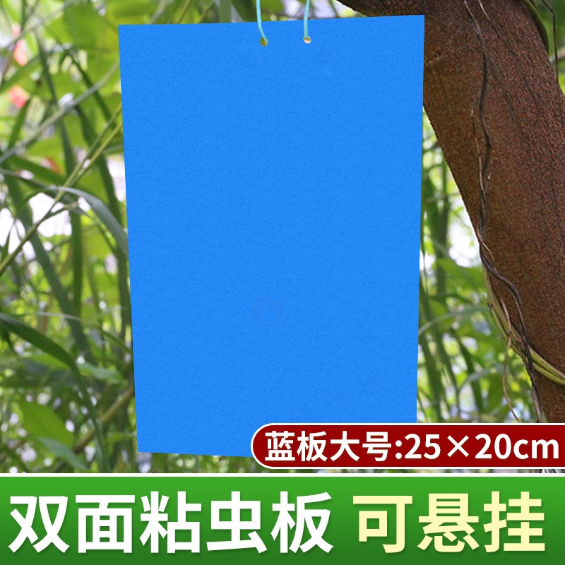 空消（KONGXIAO）【强力】多规格粘虫板黄板多尺寸双面诱虫板蓝板小黑飞粘飞虫纸 蓝色25*20尺寸 40张