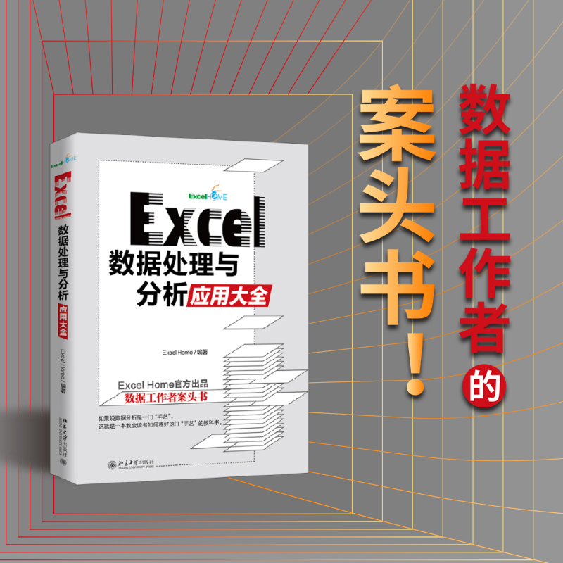 正版 excel 数据处理与分析应用 excel home 著 数据工作者的案头书