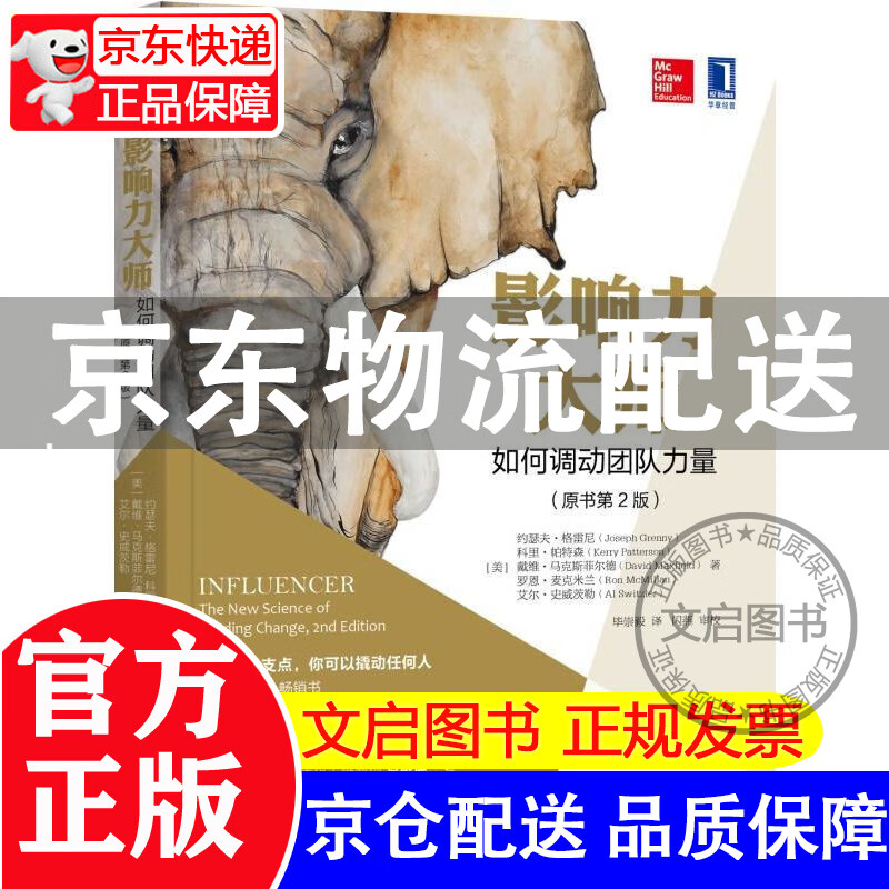 影响力大师(如何调动团队力量原书第2版)