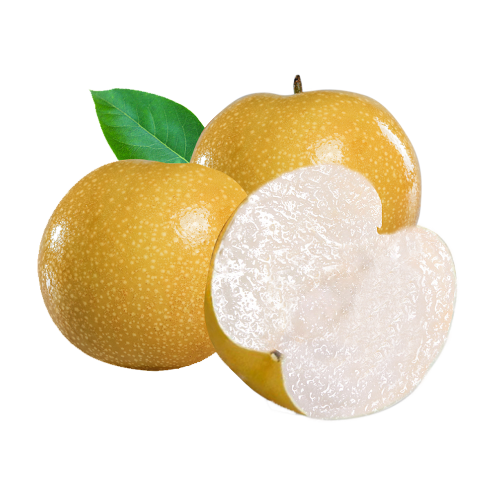 京鲜生 青青大地莱阳秋月梨净重8斤14-15粒装 生鲜水果礼盒