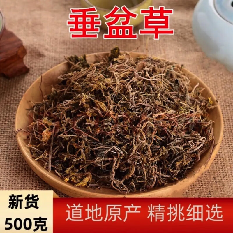 垂盆草中药材 食用垂盆草茶 干品新鲜干货新货 垂盆草250克