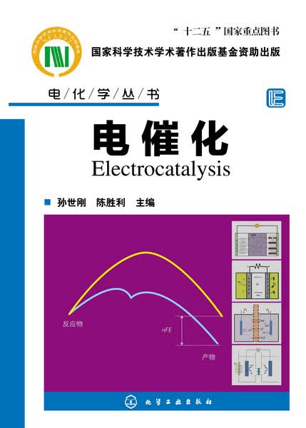 电催化(精)/电化学丛书