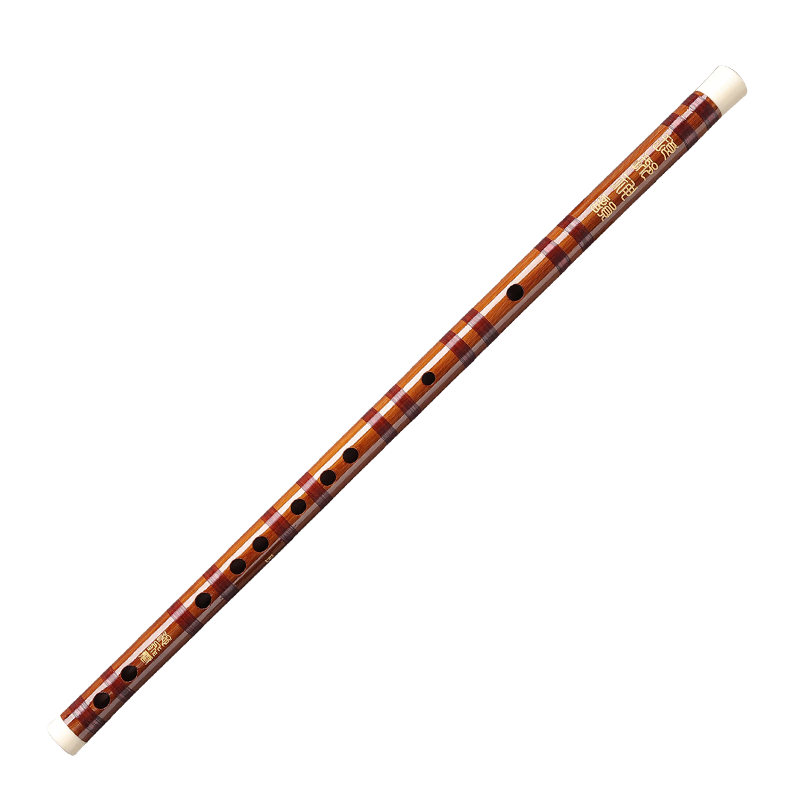 ˼ӾһFѳѧרҵѴѧͨ