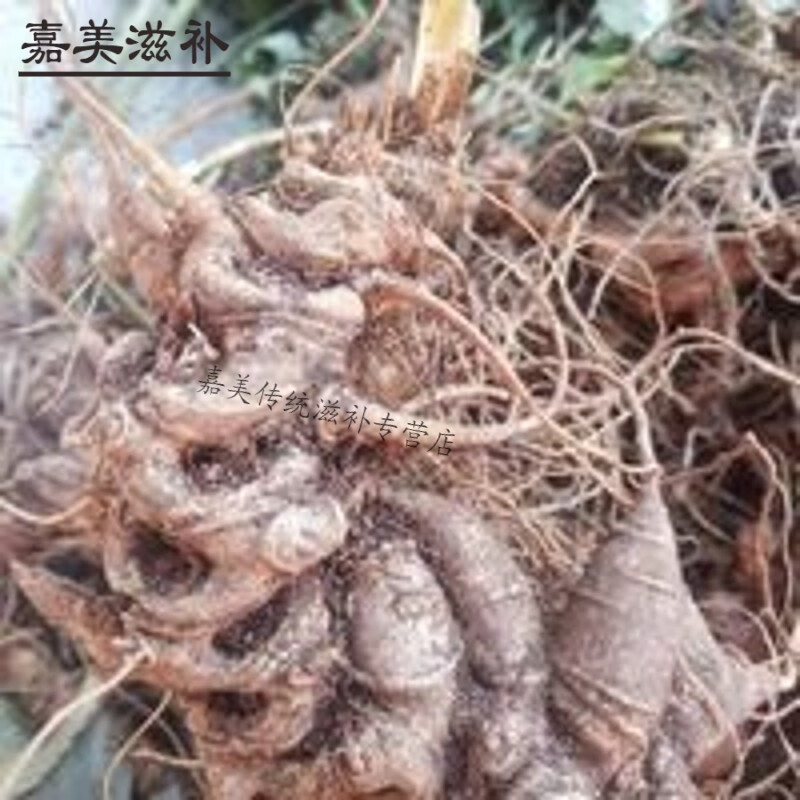 伟博贵州野生竹节参竹根七麻叶三七盘龙七250克 250g