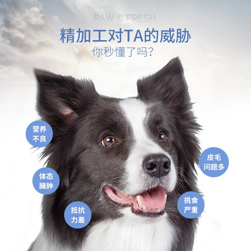 伯纳天纯无谷通用狗粮真实使用感受,真相揭秘入手感受