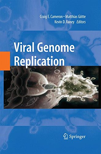 预订 viral genome replication