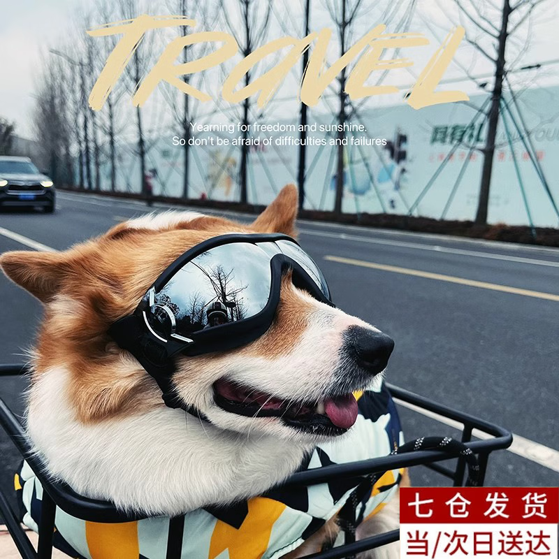 OSKV狗狗眼镜护目镜狗专用墨镜柯基宠物防风镜防紫外线眼镜泰迪太阳镜 黑框银片-（宠物专用护目镜） 【双绑带升级款】 墨镜头围38-52cm【酷狗出街】