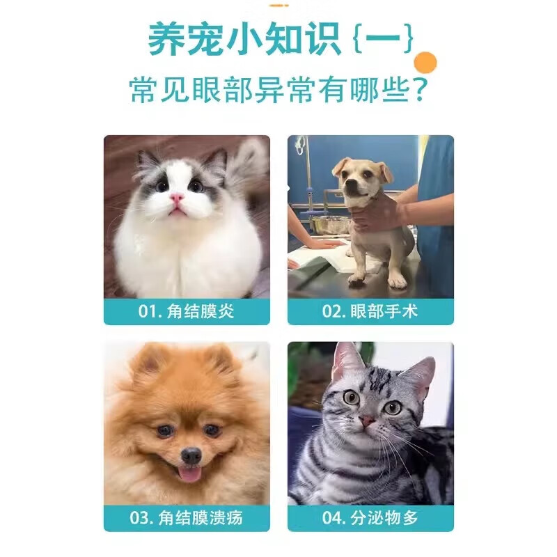 【顺丰当日发】鲁米苏素高捷疗宠物眼膏猫咪角膜炎狗狗结膜炎流脓溃疡金素捷疗眼用凝胶 1支+送棉签1包 普通快递当日发