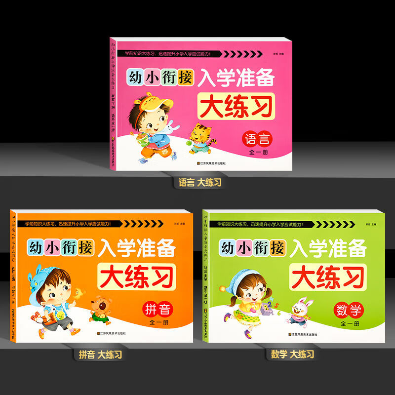 【二手9成新】-幼小衔接测试卷幼儿园大班升一年级拼音数学语言 湍