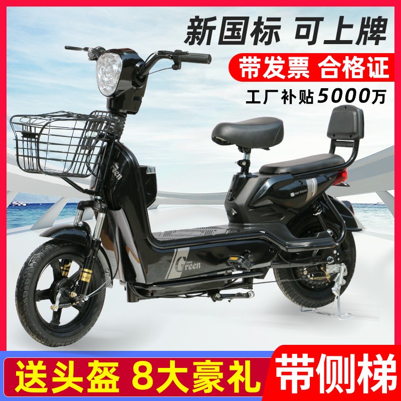 丽客莱品牌电动车新国标电动自行车成人电车高速电瓶车电单车日常出行