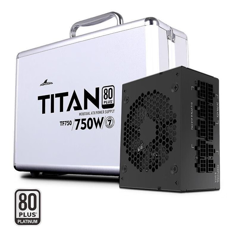 长城（Great Wall） 猎金部落TF系列额定850W/750W 白金全模组SFX小电源 750W【TF750白金牌 SFX电源】