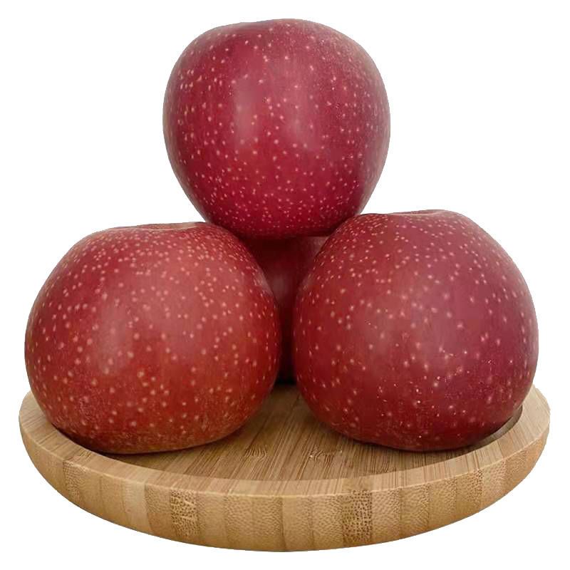 陕西老树秦观苹果粉面水果纯甜天然丑苹果5斤/带箱10斤 中果带箱10斤