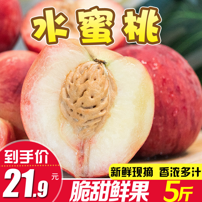 京东京东爆品 2021-07-14 - 第29张 | 最新购物优惠券 京东京东爆品 2021-07-14 - 第29张 | 最新购物优惠券