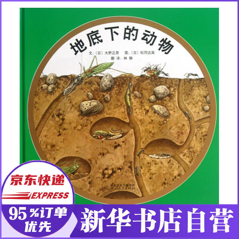 地底下的动物(精)